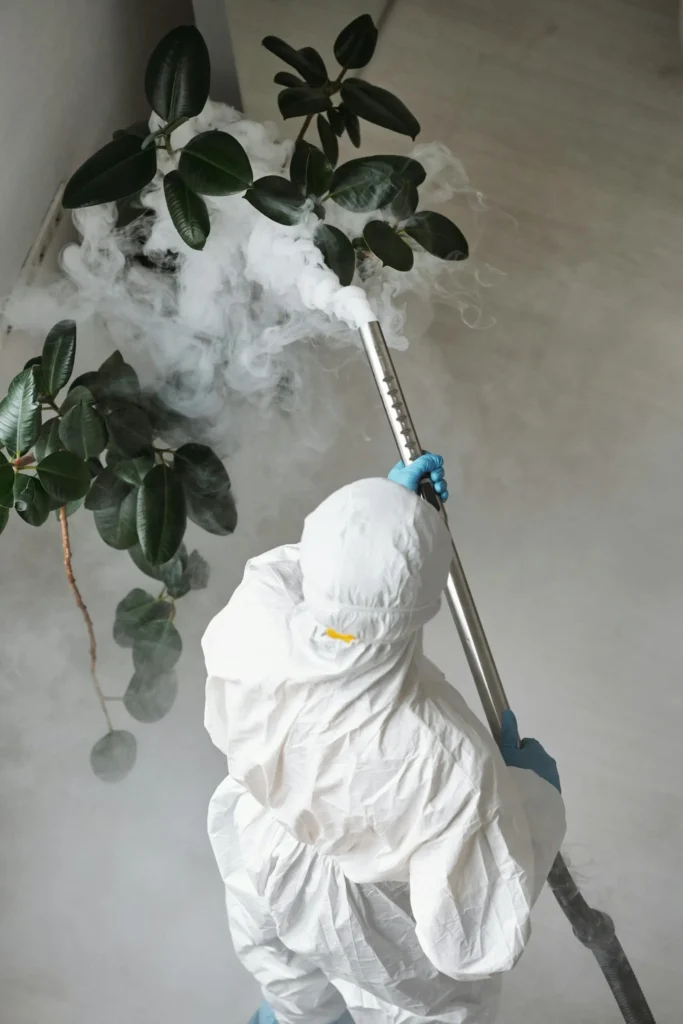 Trusted Pest Control - West Orange Pest Control Pros | West Orange, NJ | 862-319-3355