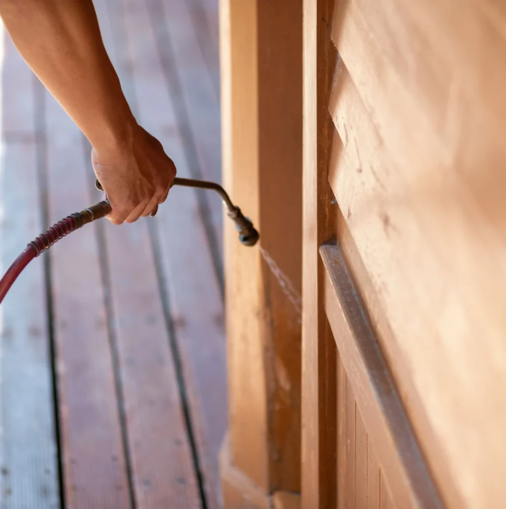 Trusted Pest Control - West Orange Pest Control Pros | West Orange, NJ | 862-319-3355
